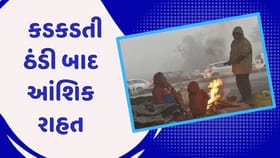 Weather News : રાજ્યમાં ઠંડીમાંથી આંશિક રાહત