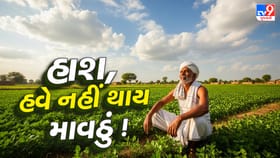 ગુજરાતમાં હવે નહીં થાય માવઠું, વેસ્ટર્ન ડિસ્ટર્બન્સની અસરથી ઠંડી વધશે