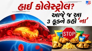 જો તમને હાઈ કોલેસ્ટ્રોલ છે? તો આ ત્રણ ફૂડ ખાવાનું ટાળો, શરીર રહેશે તંદુરસ્ત