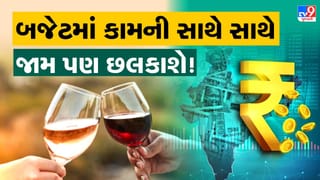 કાયદો કહે છે ‘પી શકો છો’ ! સંસદ, બજેટ અને બોટલ… આખરે નાણામંત્રીને કેમ મળે છે ‘દારૂ’ પીવાની કાનૂની છૂટ?