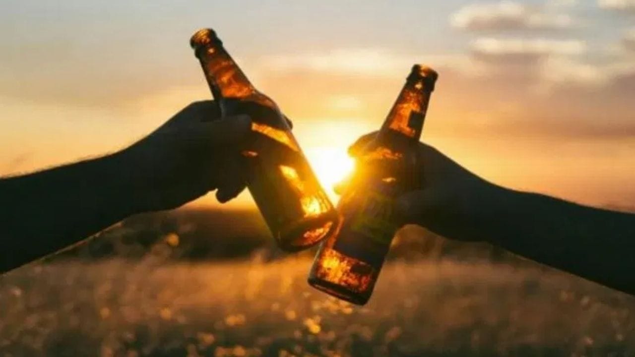 આથી સ્પષ્ટ થાય છે કે વ્હિસ્કી અથવા અન્ય દારૂની બોટલની બજાર ભાવનો મોટો ભાગ ટેક્સ અને ફી માટે જાય છે. જો સરકારની ફી અને ટેક્સ ન લાગતાં, તો ₹1,500 ની વ્હિસ્કી વાસ્તવમાં ₹350 થી ₹500માં મળી શકે છે.(નોંધ : દારૂ પીવો સ્વાસ્થ્ય માટે હાનિકારક છે.)