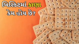 તમે ક્યારેય વિચાર્યું કે બિસ્કિટમાં આટલા બધા છિદ્રો કેમ હોય છે? તેમને ડિઝાઇન સમજવાની ભૂલ ન કરો