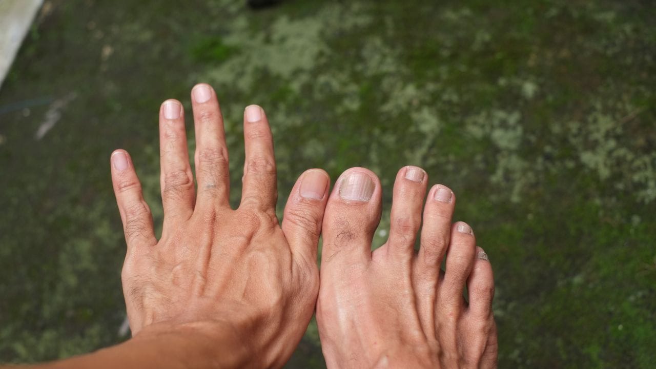 આ ઉપરાંત, હળદરવાળું નવશેકું દૂધ પીવું પણ ખૂબ લાભદાયક છે. દરરોજ દૂધમાં હળદર અને થોડું કાળું મરી ઉમેરીને પીવાથી સ્નાયુઓની જડતા ઓછી થાય છે અને સોજો તથા સાંધાના દુખાવામાં રાહત મળે છે.