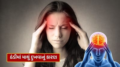શિયાળા દરમિયાન ઘણા લોકોને વારંવાર માથાનો દુખાવો થાય છે. તેથી, તેના કારણો સમજવું ખૂબ જ મહત્વપૂર્ણ છે.