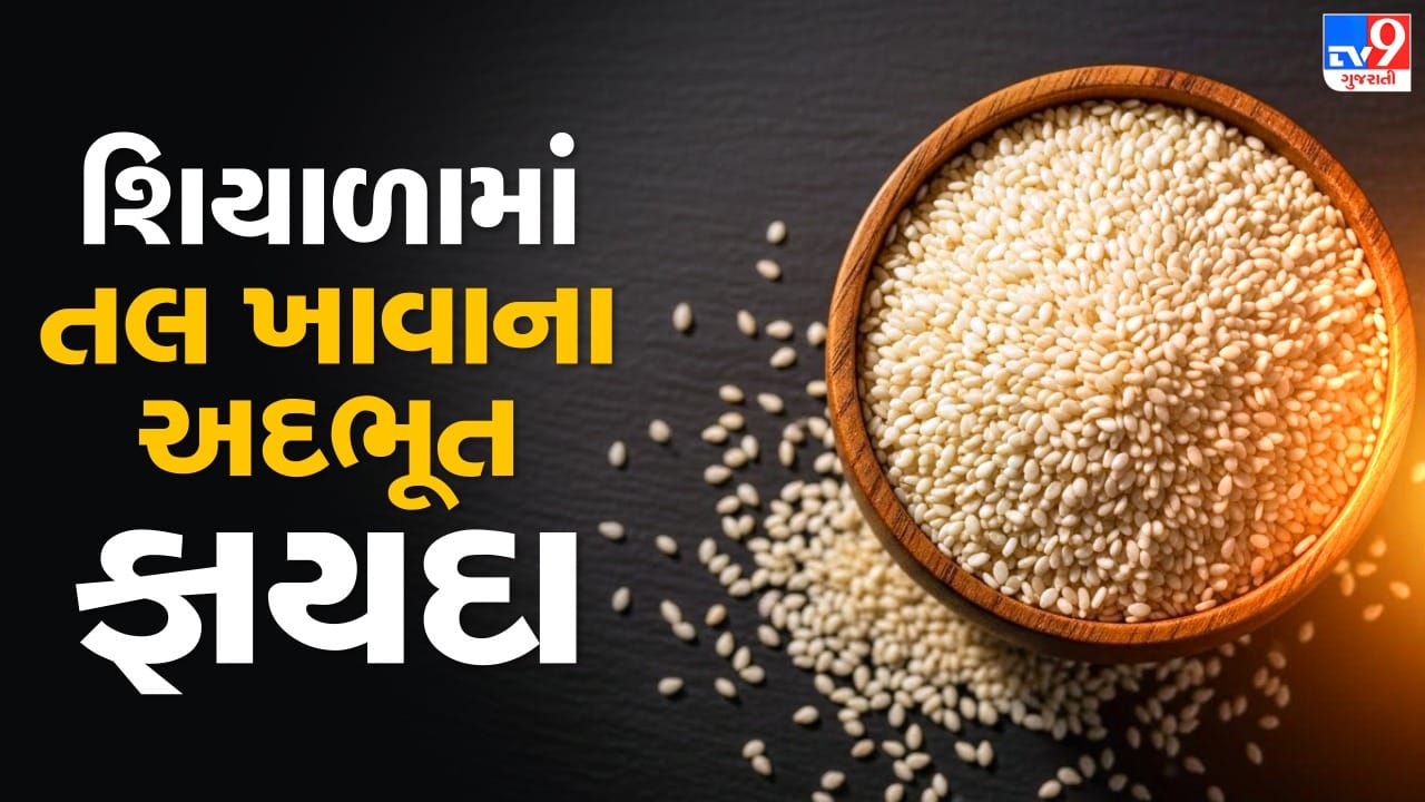 તલના બીજ સ્વાદ સાથે સાથે પોષક તત્ત્વોથી ભરપૂર હોય છે. તેમાં કેલ્શિયમ, આયર્ન અને ઓમેગા-3 ફેટી એસિડ જેવી જરૂરી પોષક તત્ત્વો હોય છે, જે હાડકાંને મજબૂત બનાવવામાં, સાંધાના આરોગ્યમાં અને ત્વચાને પોષણ આપવામાં મદદરૂપ થાય છે. આયુર્વેદિક સિદ્ધાંતો તેમજ આધુનિક પોષણ બંને મુજબ શિયાળાની ઋતુમાં તલનું સેવન લાભદાયક ગણાય છે. જો આ શિયાળામાં શરીરને તંદુરસ્ત, શક્તિશાળી અને સ્ફૂર્તિભર્યું રાખવું હોય, તો તલથી બનેલી આ પાંચ વિશેષ વાનગીઓ જરૂર અજમાવો. ( Credits: AI Generated )