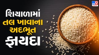 ફેફસાથી લઈને કોલેસ્ટ્રોલ સુધી.. આ બધી સમસ્યાઓ ‘છૂમંતર’ થઈ જશે, બસ એકવાર આ તલ ખાવાની 5 ટ્રિક જાણી લો