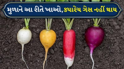 Winter food Radish: હવે નહીં થાય ગેસ કે પેટ ફૂલશે નહીં... શિયાળામાં મૂળાને આ રીતે ખાઓ