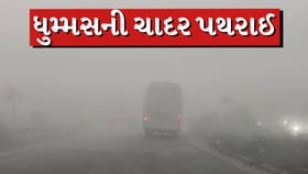 Breaking news : પંચમહાલમાં ગાઢ ધુમ્મસની ચાદર પથરાઈ