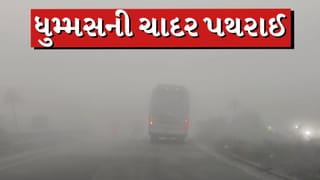 Breaking news : પંચમહાલમાં ગાઢ ધુમ્મસની ચાદર પથરાઈ, હાઇવે પર ઝીરો વિઝિબિલિટી, જુઓ Video