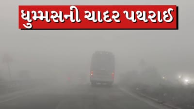Breaking news : પંચમહાલમાં ગાઢ ધુમ્મસની ચાદર પથરાઈ, હાઇવે પર ઝીરો વિઝિબિલિટી, જુઓ Video