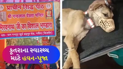 હનુમાનજીની પરિક્રમા કરનાર કૂતરાના સ્વાસ્થ્ય માટે મંદિરમાં હવન-પૂજા, દિલ્હી હોસ્પિટલમાં ચાલી રહી છે સારવાર