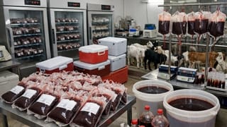 Breaking News : માણસોના બ્લડ બેગમાં બકરીનું લોહી! DCAની રેડમાં મોટુ કૌભાંડ ઝડપાયુ, જાણો શું છે સમગ્ર મામલો