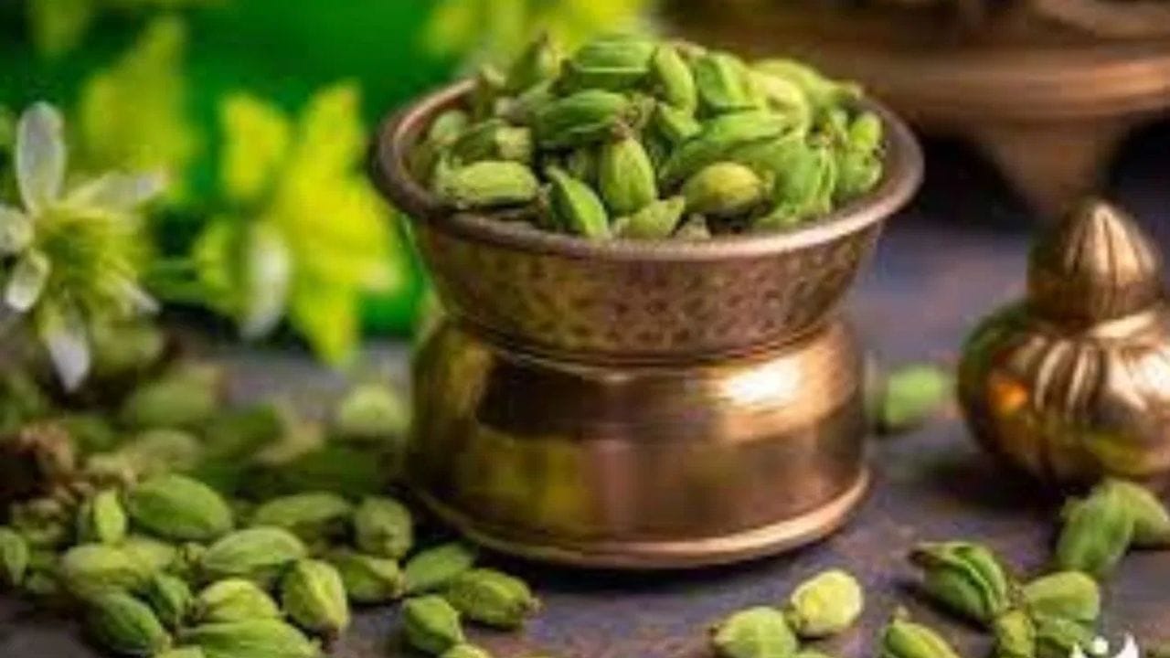 એલચી ખર્ચ પર સંપૂર્ણ નિયંત્રણ રાખવામાં મદદ કરે છે. હકીકતમાં, એલચીમાંથી નીકળતી સુગંધ આપણી તરફ સકારાત્મક ઉર્જા આકર્ષે છે, જે જીવનમાં પૈસાના પ્રવાહમાં સુધારો કરે છે.