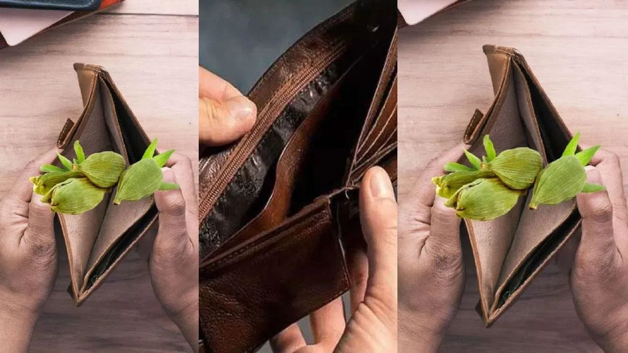 માન્યતા અનુસાર એલચી ધનને આકર્ષિત કરે છે. જો કારોબારમાં લાભ ન થઈ રહ્યો તો પર્સમાં એલચી રાખો તો ધનલાભ થાય છે. જો આપને વારંવાર નજર લાગી જતી હોય તો પર્સમાં એક એલચી રાખવી જોઈએ. પર્સમાં એક એલચી રાખવાથી બુરી નજર દૂર રહે છે.ખરાબ નજરથી બચાવે છે.