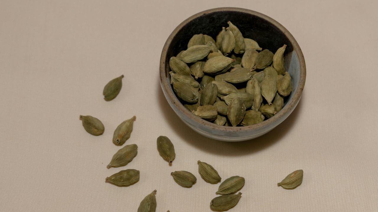 વાસ્તુ અનુસાર, ક્યારેય પણ ફાટેલા પર્સનો ઉપયોગ કરશો નહીં. ઉપરાંત, તેમાં જૂની નોટો રાખવાનું ટાળો. તેને સમયાંતરે સાફ કરવું મહત્વપૂર્ણ છે. યાદ રાખો કે ભેટમાં આપેલા પર્સનો ઉપયોગ ન કરો; આ યોગ્ય માનવામાં આવતું નથી. જો તમે ભેટમાં આપેલા પર્સનો ઉપયોગ વ્યક્તિગત ઉપયોગ માટે કરવા માંગતા હો, તો તેની અંદર લાલ કાપડનો એક નાનો ટુકડો રાખો. આ ઉપાય તમારા જીવનમાં કોઈપણ નકારાત્મકતાને પ્રવેશતા અટકાવશે.