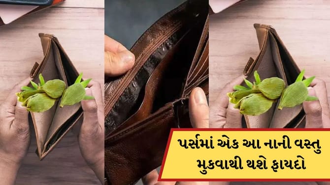 આ એક નાની વસ્તુ પર્સમાં રાખવાથી થશે મોટો ફાયદો, પૈસાની સમસ્યાઓ થશે દૂર