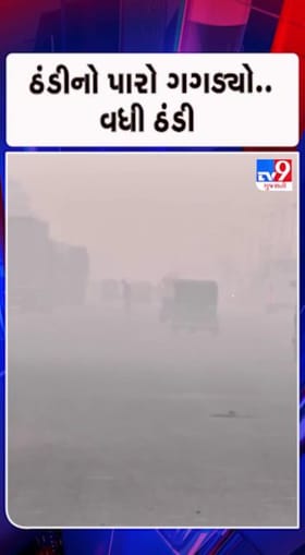 ઉત્તર પૂર્વના પવનો ફૂંકાતા વધ્યો ઠંડીનો ચમકારો