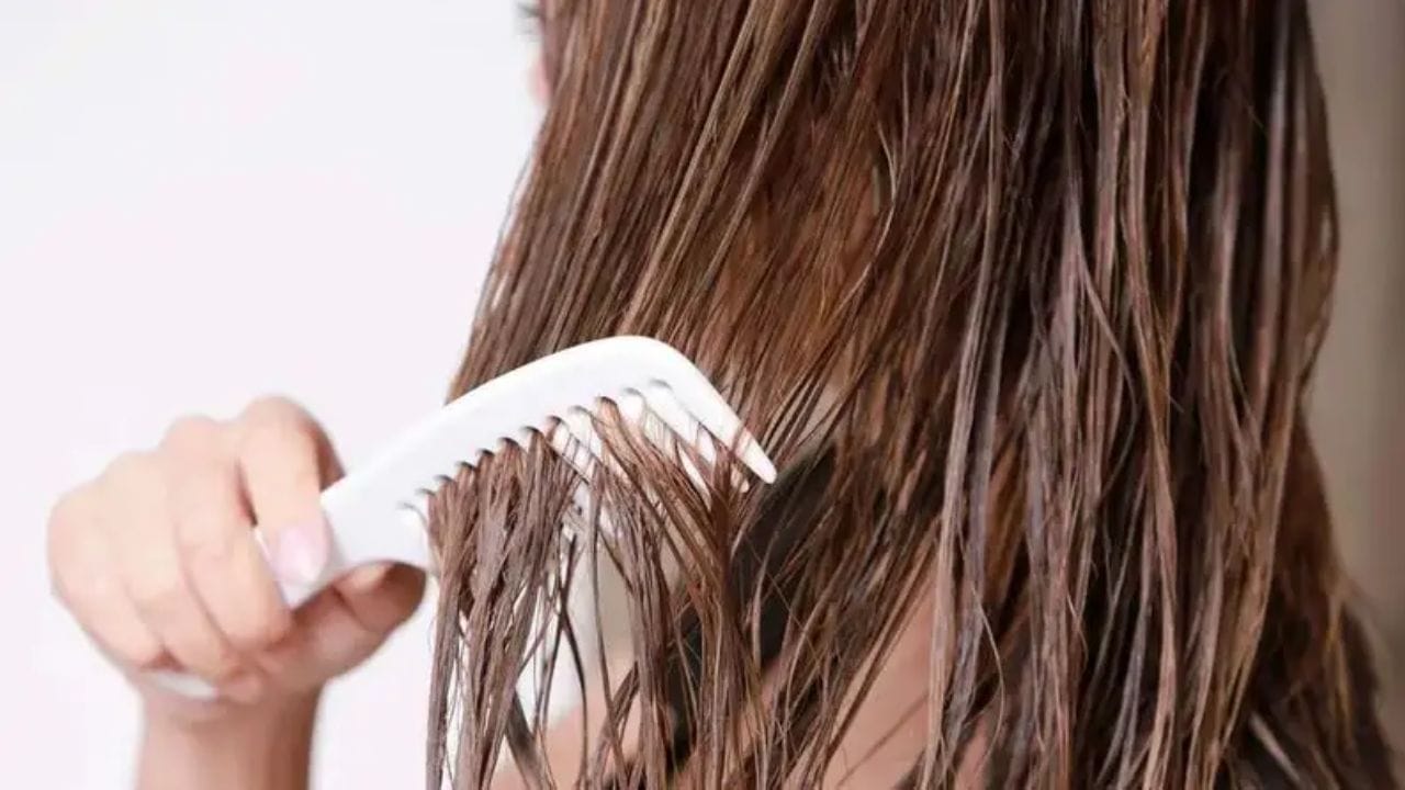 રાત્રે ખુલ્લા વાળ સાથે સૂવું એ મુશ્કેલીને આમંત્રણ આપવા સમાન માનવામાં આવે છે. એવું કહેવાય છે કે સ્ત્રીઓએ રાત્રે સૂતી વખતે વેણી પહેરવી જોઈએ. રાત્રે ખુલ્લા વાળ સાથે સૂવું પરિવાર માટે અશુભ માનવામાં આવે છે.