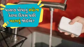 વાસણ ધોવાનું સ્પોન્જ કેટલા દિવસ પછી બદલવું જોઈએ?