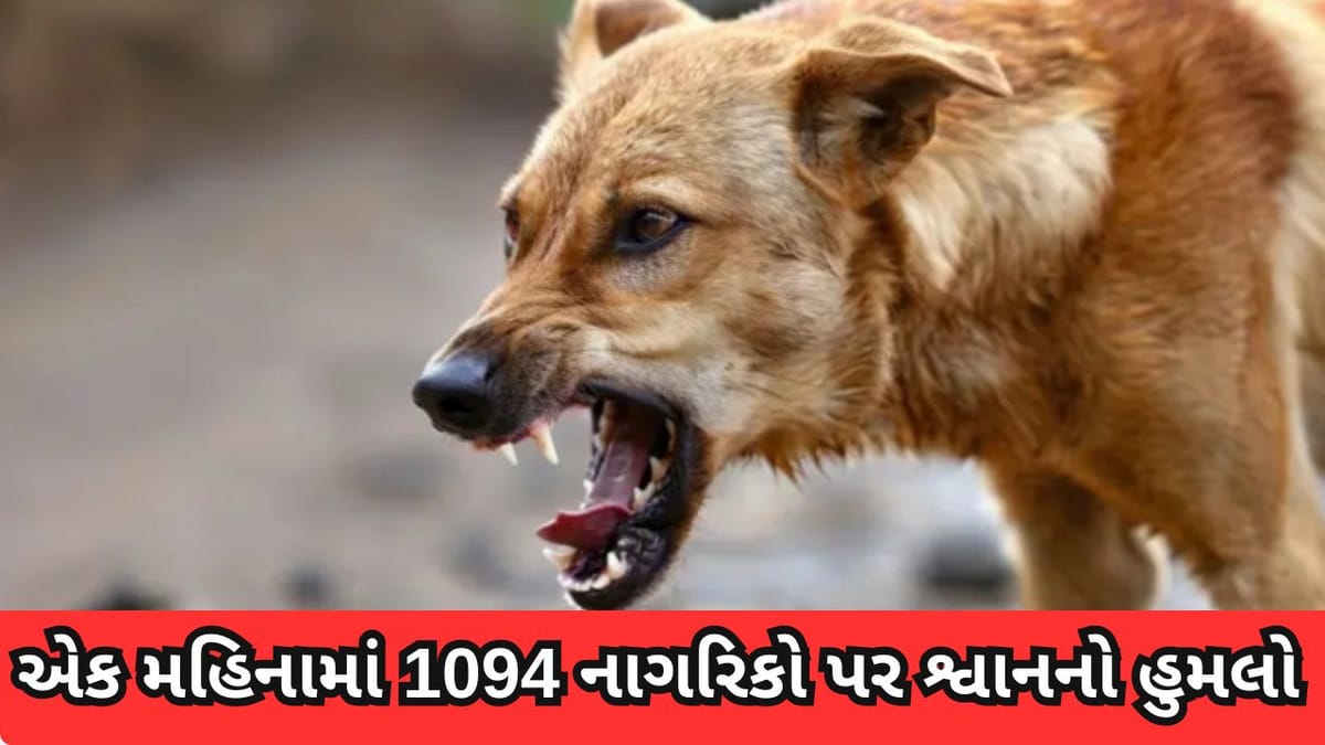 Bharuch : એક મહિનામાં 1094 નાગરિકો પર શ્વાનના હુમલાથી તંત્ર સફાળું જાગ્યું : 150 શ્વાનનું ખસીકરણ કરાયું Bharuch : એક મહિનામાં 1094 નાગરિકો પર શ્વાનના હુમલાથી તંત્ર સફાળું જાગ્યું : 150 શ્વાનનું ખસીકરણ કરાયું