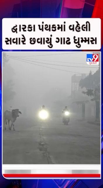 ભારે ધુમ્મસને લીધે વિઝિબિલિટી ખૂબ જ ઘટી