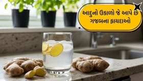 આદુનો ઉકાળો કેટલા દિવસ પીવું જોઈએ? જાણો તેના ફાયદા અને ગેરફાયદા