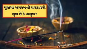 પૂજા દરમિયાન અગરબત્તી પ્રગટાવવી શુભ છે કે અશુભ? જાણો વાસ્તુ નિયમ