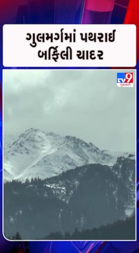 ‘સફેદ સ્વર્ગ’માં ફેરવાયા અનેક વિસ્તાર