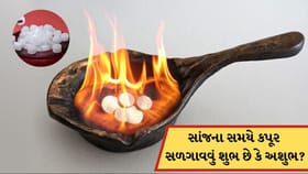 સાંજના સમયે ઘરમાં કપૂર સળગાવવું શુભ છે કે અશુભ? જાણો વાસ્તુ શું કહે છે