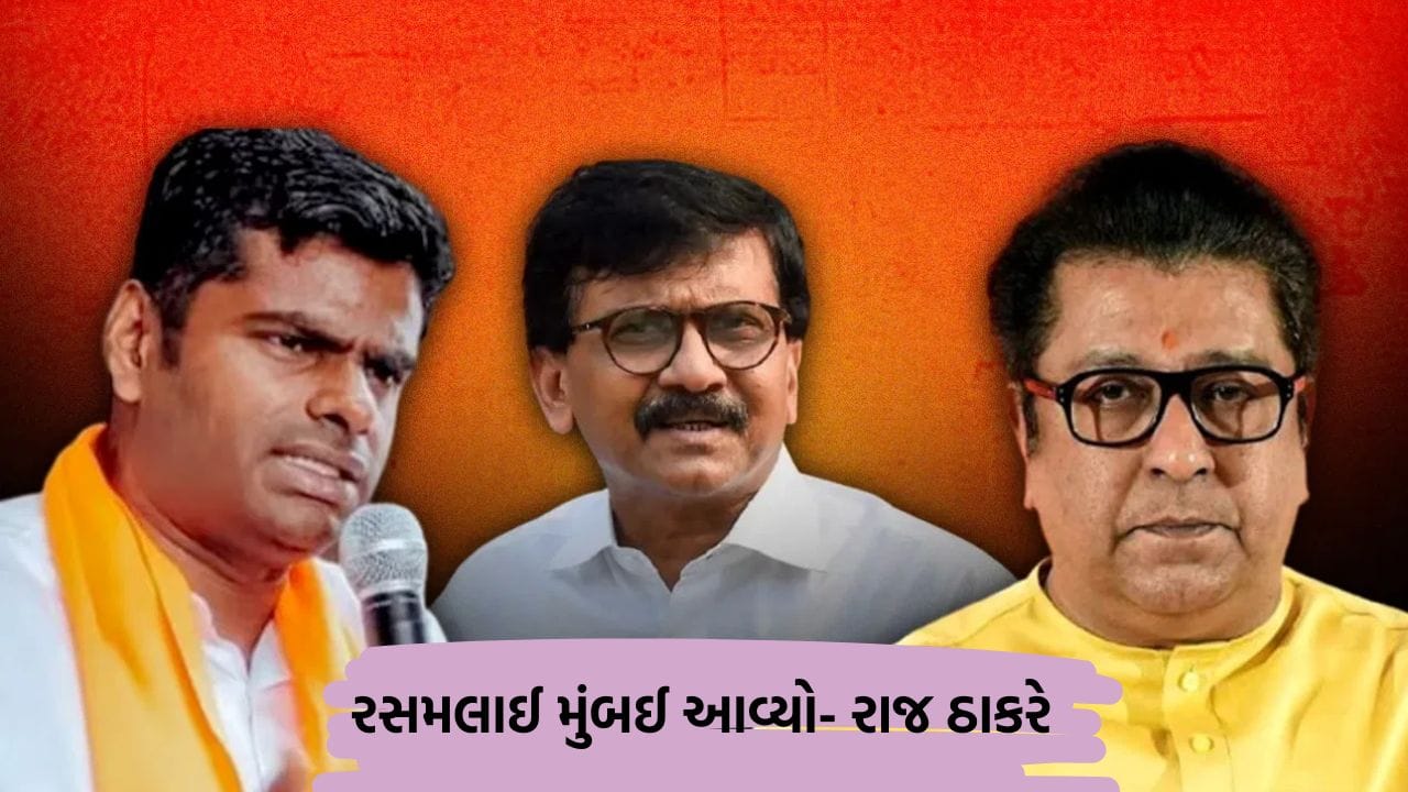 BMC Election Breaking News: રાજ ઠાકરેએ અન્નામલાઈને કહ્યું કે રસમલાઈ મુંબઈ આવ્યું, સંજય રાઉતે કીડો કહી સંબોધ્યું
