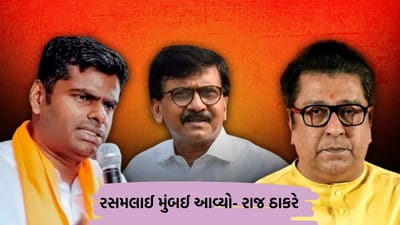 BMC Election Breaking News: રાજ ઠાકરેએ અન્નામલાઈને કહ્યું કે રસમલાઈ મુંબઈ આવ્યું, સંજય રાઉતે કીડો કહી સંબોધ્યું