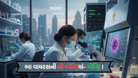 નિપાહ વાયરસના પ્રકોપને કારણે એશિયાભરના એરપોર્ટ પર સ્ક્રીનીંગ શરૂ