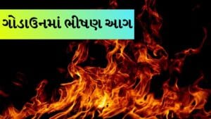Breaking news: ઉધનામાં પ્લાસ્ટિકના ગોડાઉનમાં ભીષણ આગ, 5 કામદારો ગંભીર રીતે દાઝ્યા, જુઓ Video
