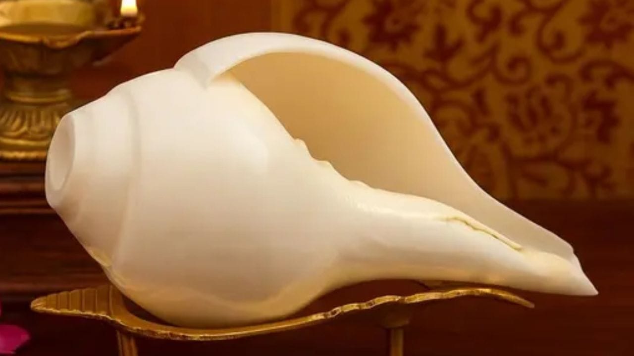 શંખને દેવી-દેવતાઓની જેમ પૂજનીય માનવામાં આવે છે. શાસ્ત્રો અનુસાર, શંખમાં દૈવી ઉર્જા અને શુભતા હોય છે. જ્યારે આપણે શંખને કોઈપણ વસ્તુ વિના ખાલી છોડીએ છીએ, ત્યારે તે તેની શુભતા અને દૈવી ઉર્જા ગુમાવે છે તેવું માનવામાં આવે છે.