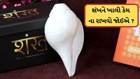 મંદિરમાં શંખ ખાલી કેમ ના રાખવો જોઈએ? જાણો વાસ્તુ શું કહે છે