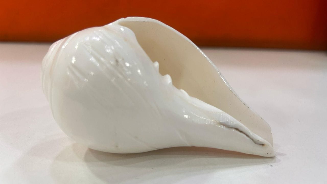 હિન્દુ ધર્મ અને વાસ્તુ શાસ્ત્રમાં, શંખને ખૂબ જ પવિત્ર અને દેવી લક્ષ્મીનું પ્રતીક માનવામાં આવે છે. જ્યારે શંખનો અવાજ વાતાવરણને શુદ્ધ કરે છે અને સકારાત્મક ઉર્જાનો સંચાર કરે છે, ત્યારે તેના સંગ્રહ સાથે સંકળાયેલા કેટલાક નિયમો છે, જે ન કરવાથી ઘરમાં નકારાત્મકતા વધી શકે છે અને નાણાકીય નુકસાન થઈ શકે છે. આ નિયમોમાંથી એક એ છે કે મંદિરમાં ક્યારેય ખાલી શંખ ન રાખવો. એટલે કે તેમાં હંમેશા પાણી ભરીને મૂકવું જોઈએ. 