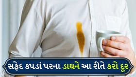 સફેદ કપડાં પરના હઠીલા ડાઘ: ચા, કોફી, શાહી, તેલના ડાઘ દૂર કરવાના ઉપાયો