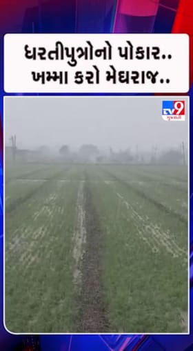 માવઠાનો માર... ફરી રડ્યો તાત..!