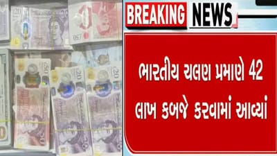 અમદાવાદ એરપોર્ટ પરથી 42 લાખની વિદેશી ચલણી નોટ સાથે ઝડપાયો મુસાફર