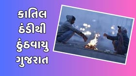 રાજ્યમાં ફરી ઠંડીનો ચમકારો વધ્યો, તાપમાન વધઘટ રહેવાની કરાઈ આગાહી