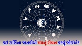 જૂના મિત્રને મળવાથી આનંદ થશે, ફિટ રહેવા માટે નિયમિત કસરત કરો