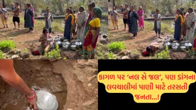 ગુજરાતનું ચેરાપૂંજી તરસ્યું! ડાંગના લવચાલી ગામમાં ઉનાળા પહેલા જ પાણી માટે પોકાર, મહિલાઓ જીવના જોખમે 1 કિમી દૂર જવા મજબૂર