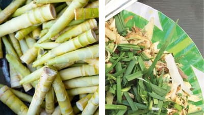 અસમિયા ખોરિસા(Assamese Khorisa):
અસમમાં બનાવાતું આ ફર્મેન્ટેડ ફૂડ બાંસની નરમ કાંપીઓથી તૈયાર થાય છે. ફર્મેન્ટેશનની પ્રક્રિયા તેને તીખાશ અને સુગંધ આપે છે. ખોરિસા ફાઇબર અને વિટામિન્સથી ભરપૂર છે અને પાચન માટે ખૂબ લાભદાયક છે. કેટલાક લોકો તેને નોનવેજ સાથે પણ અથાણાની જેમ ખાતા હોય છે.
(Image Source: Google)