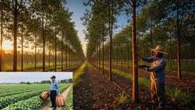 ગ્રીન ઇન્વેસ્ટમેન્ટ: આ એક ખેતી બનાવી દેશે કરોડપતિ- જાણો તેના વિશે