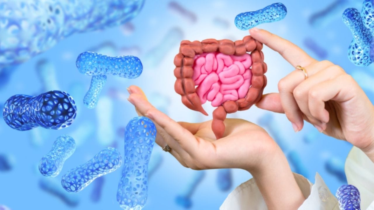 આંતરડાની તંદુરસ્તી (ગટ હેલ્થ) જાળવવી આજના સમયમાં ખાસ મહત્વની વાત બની ગઈ છે. જો પેટનું સ્વાસ્થ્ય યોગ્ય રહેશે, તો પાચન પ્રણાળી પણ મજબૂત રહેશે. આ માટે ફર્મેન્ટેડ ફૂડ્સનું મહત્ત્વ ખૂબ છે, કારણ કે આ ફૂડ્સમાં રહેલા પ્રોબાયોટિક્સ પેટમાં સારા બેક્ટેરિયાને મજબૂત બનાવે છે. 
(Image Source: Google)