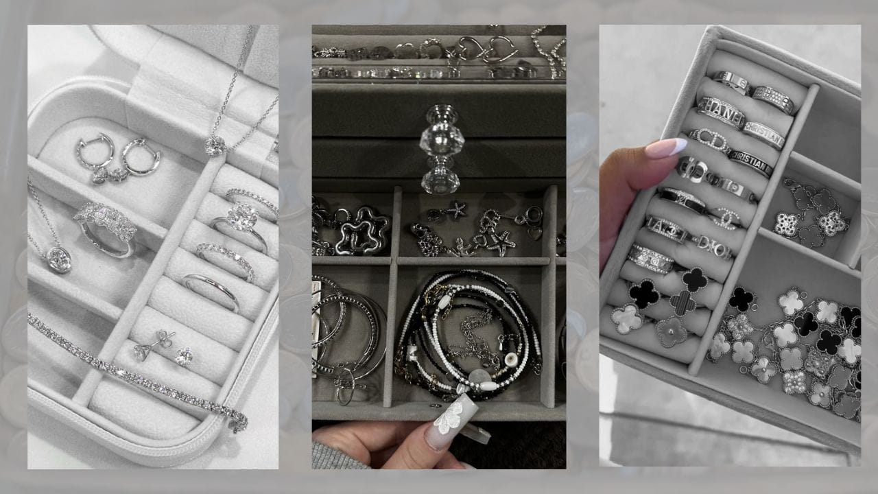 નમ્મીથી બચાવવાની ટિપ્સ: સ્ટોર કરતી વખતે ધ્યાન રાખવું જોઈએ કે સિલ્વરની વસ્તુ ભેજ સાથે સંપર્કમાં ન આવે. આ માટે તમે એન્ટી-ટર્નિશ કપડાનો ઉપયોગ કરી શકો છો અને સ્ટોરેજ કન્ટેનરમાં સિલિકા જેલ પેકેટ, એન્ટી-ટર્નિશ સ્ટ્રિપ્સ અને ચાર્કોલ જેવી વસ્તુઓ મૂકી શકો છો. આ વસ્તુઓ ભેજને દૂર રાખવામાં મદદ કરે છે. (Image Credit source: Google)

