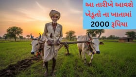22nd Installment: જાણો ફેબ્રુઆરીમાં કયા દિવસે આવશે ₹2,000નો હપ્તો
