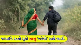 જમાઈ જોતો રહી ગયો અને સાસુ તેના બનેવી સાથે 'રફુચક્કર'