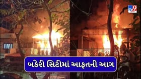 Breaking News : અમદાવાદના વેજલપુરમાં બકેરી સિટીમાં લાગી ભીષણ આગ, પિતા-પુત્ર આગમાં ભડથુ થયા