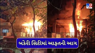Breaking News : અમદાવાદના વેજલપુરમાં બકેરી સિટીમાં લાગી ભીષણ આગ, પિતા-પુત્ર આગમાં ભડથુ થયા